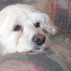 Meet your Posher, Marilyn